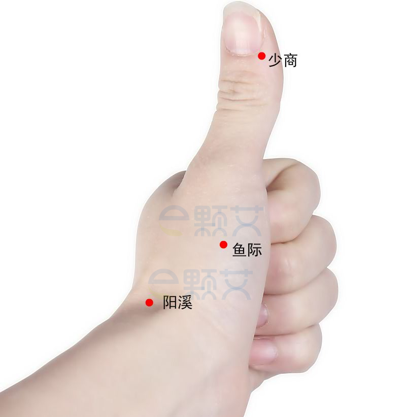 少商 穴位图 艾灸取穴方法 主治病症 应用经验