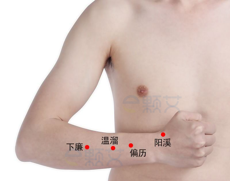 偏历穴位图 艾灸取穴方法 主治病症 应用经验