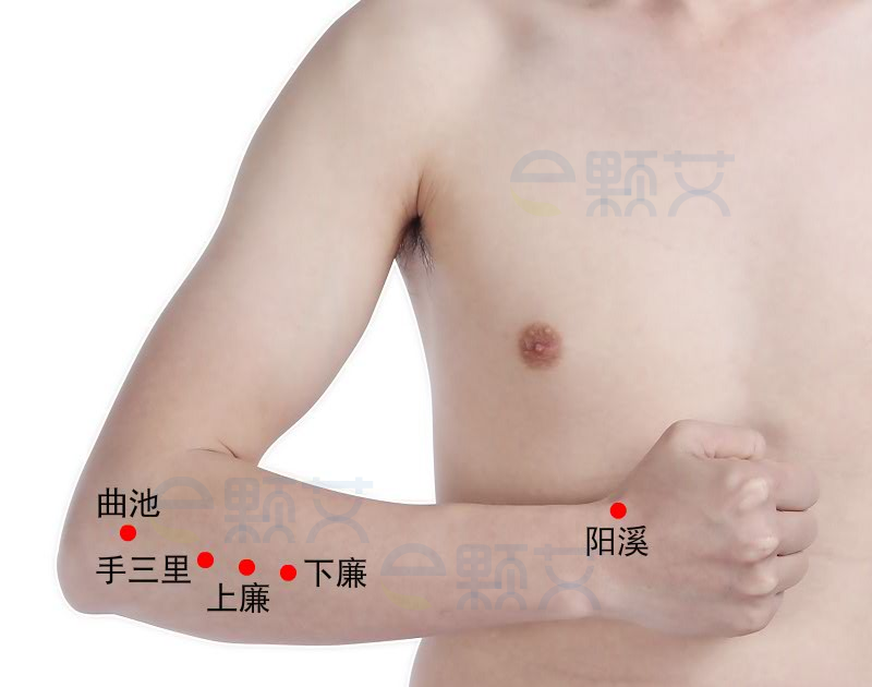 上廉穴位图 艾灸取穴方法 主治病症 应用经验