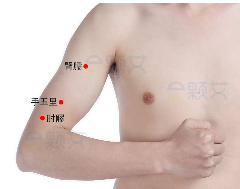 臂臑穴位图 艾灸取穴方法 主治病症 应用经验
