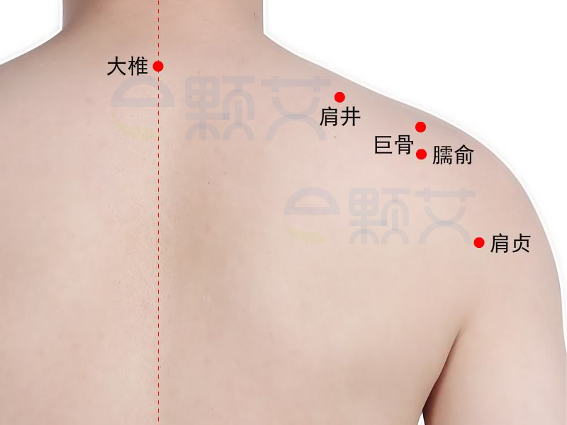 巨骨穴位图 艾灸取穴方法 主治病症 应用经验
