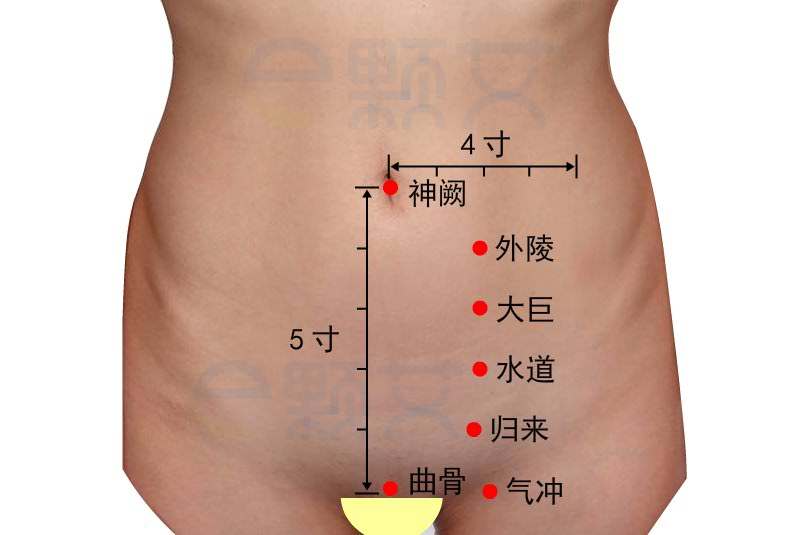 大巨穴位图 艾灸取穴方法 主治病症 应用经验