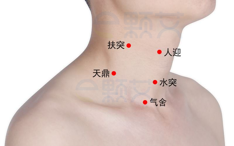 气舍穴位图 艾灸取穴方法 主治病症 应用经验