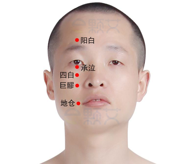 承泣穴位图 艾灸取穴方法 主治病症 应用经验
