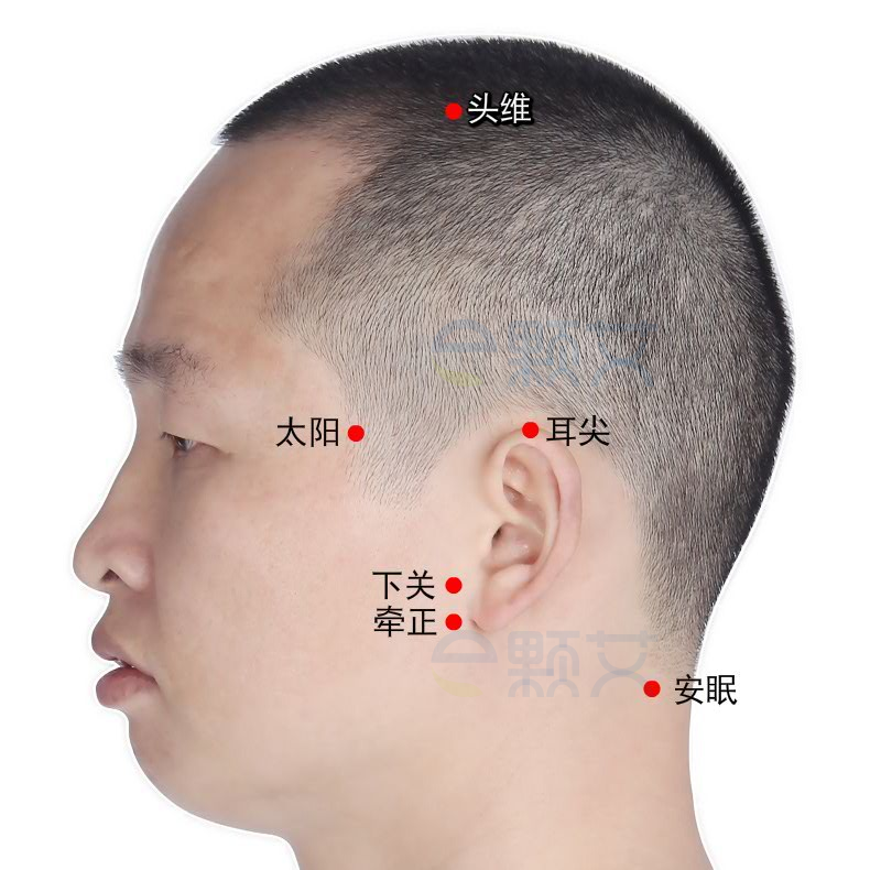 下关 穴位图 艾灸取穴方法 主治病症 应用经验