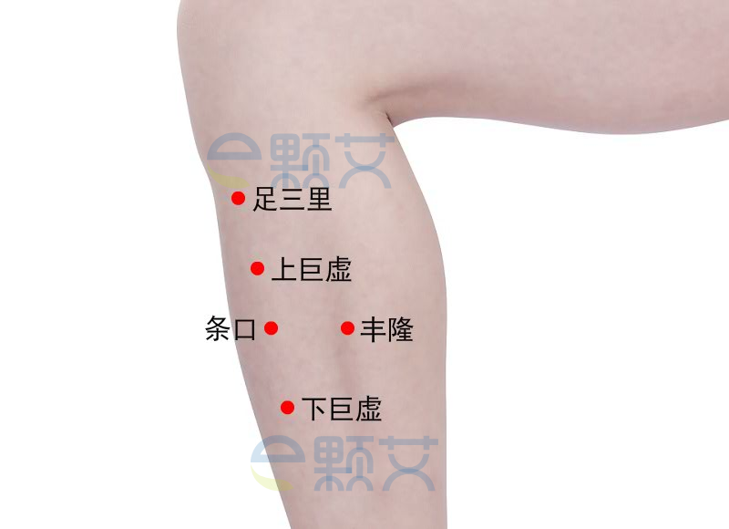 下巨虚穴位图 艾灸取穴方法 主治病症 应用经验