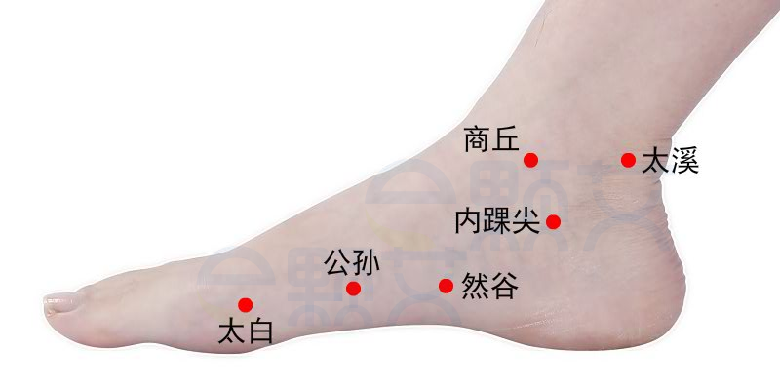 商丘穴位图 艾灸取穴方法 主治病症 应用经验