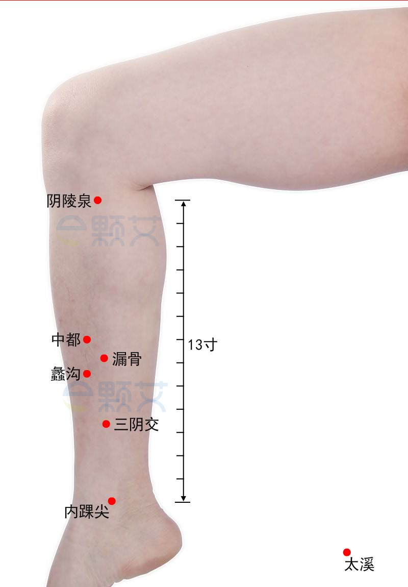 三阴交穴位图 艾灸取穴方法 主治病症 应用经验