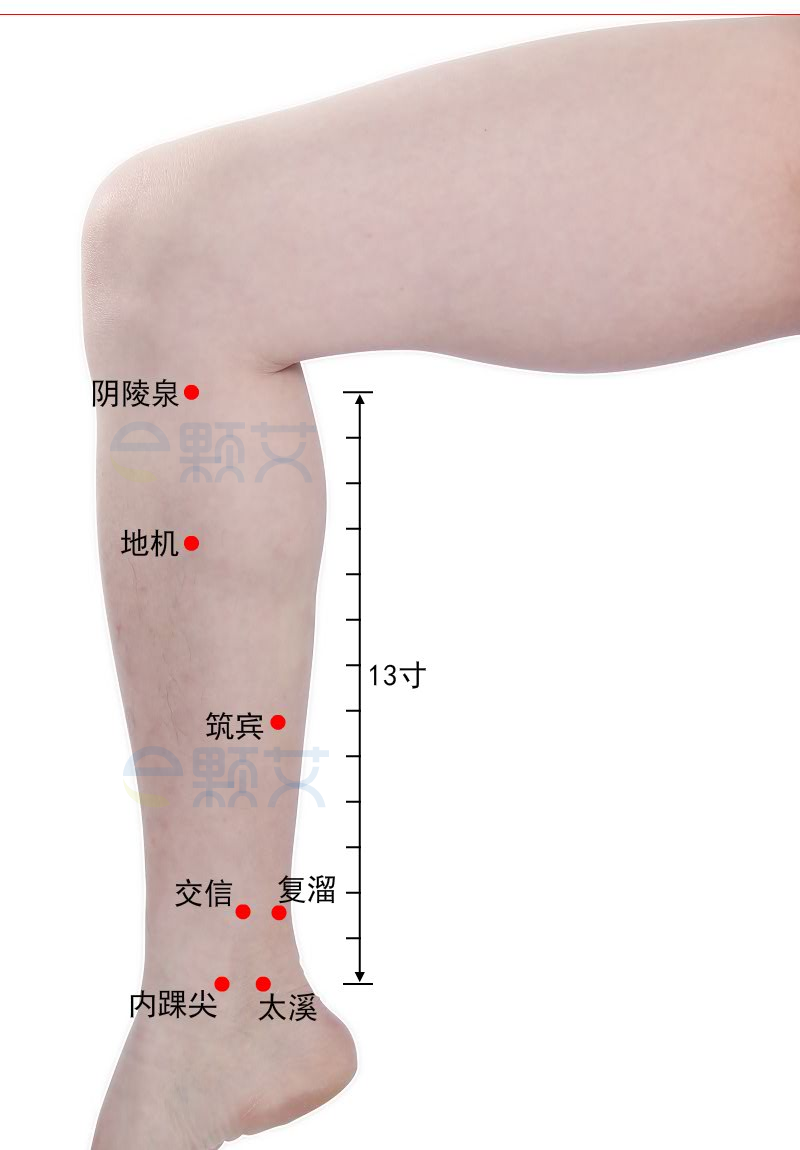 阴陵泉穴位图 艾灸取穴方法 主治病症 应用经验