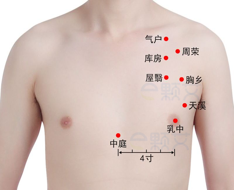 胸乡穴位图 艾灸取穴方法 主治病症 应用经验