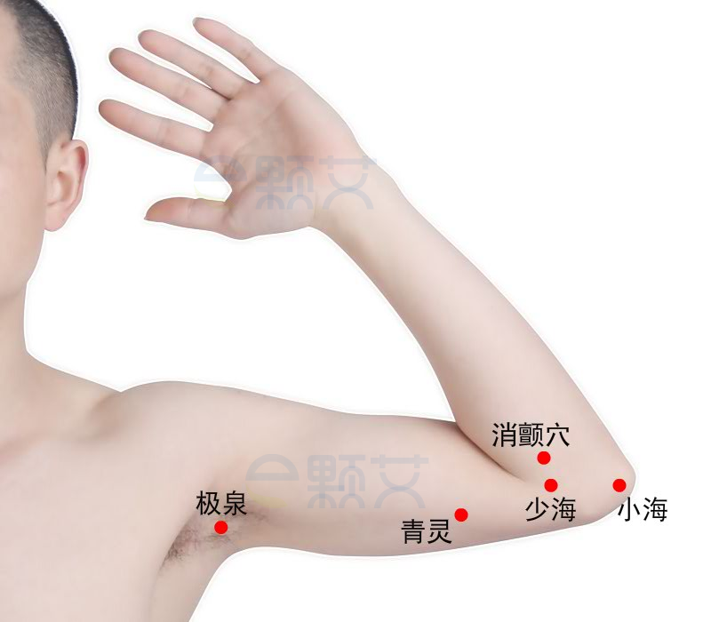 青灵穴位图 艾灸取穴方法 主治病症 应用经验