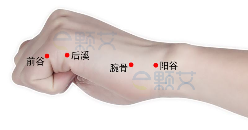 后溪穴位图 艾灸取穴方法 主治病症 应用经验