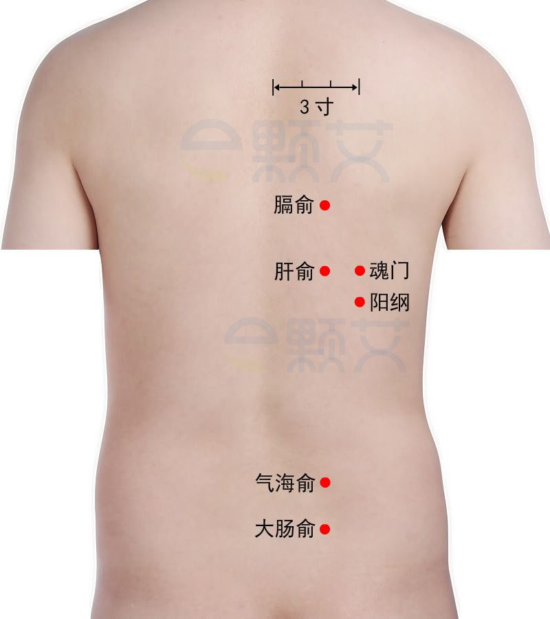 气海俞穴位图 艾灸取穴方法 主治病症 应用经验