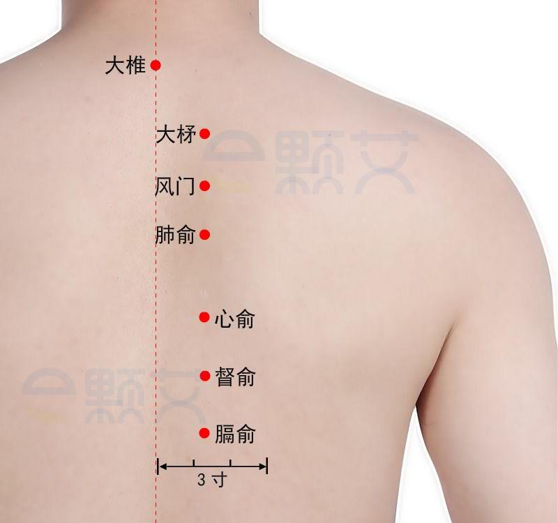 督俞穴位图 艾灸取穴方法 主治病症 应用经验