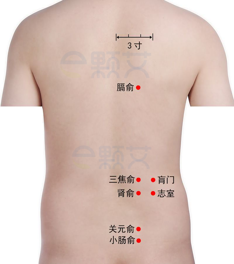 志室穴位图 艾灸取穴方法 主治病症 应用经验