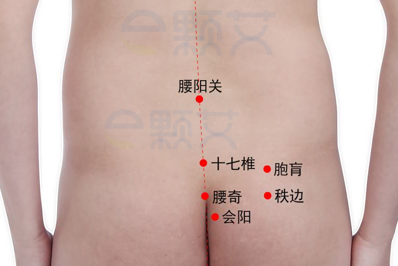 胞肓穴位图 艾灸取穴方法 主治病症 应用经验