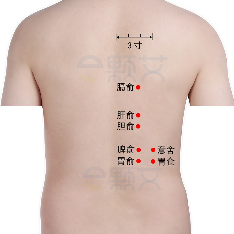 胃仓穴位图 艾灸取穴方法 主治病症 应用经验
