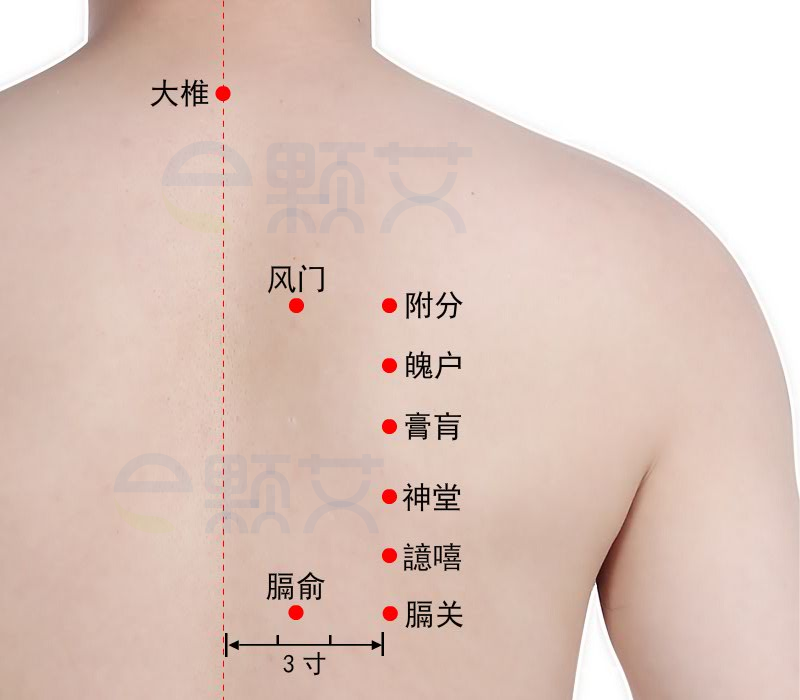 附分穴位图 艾灸取穴方法 主治病症 应用经验