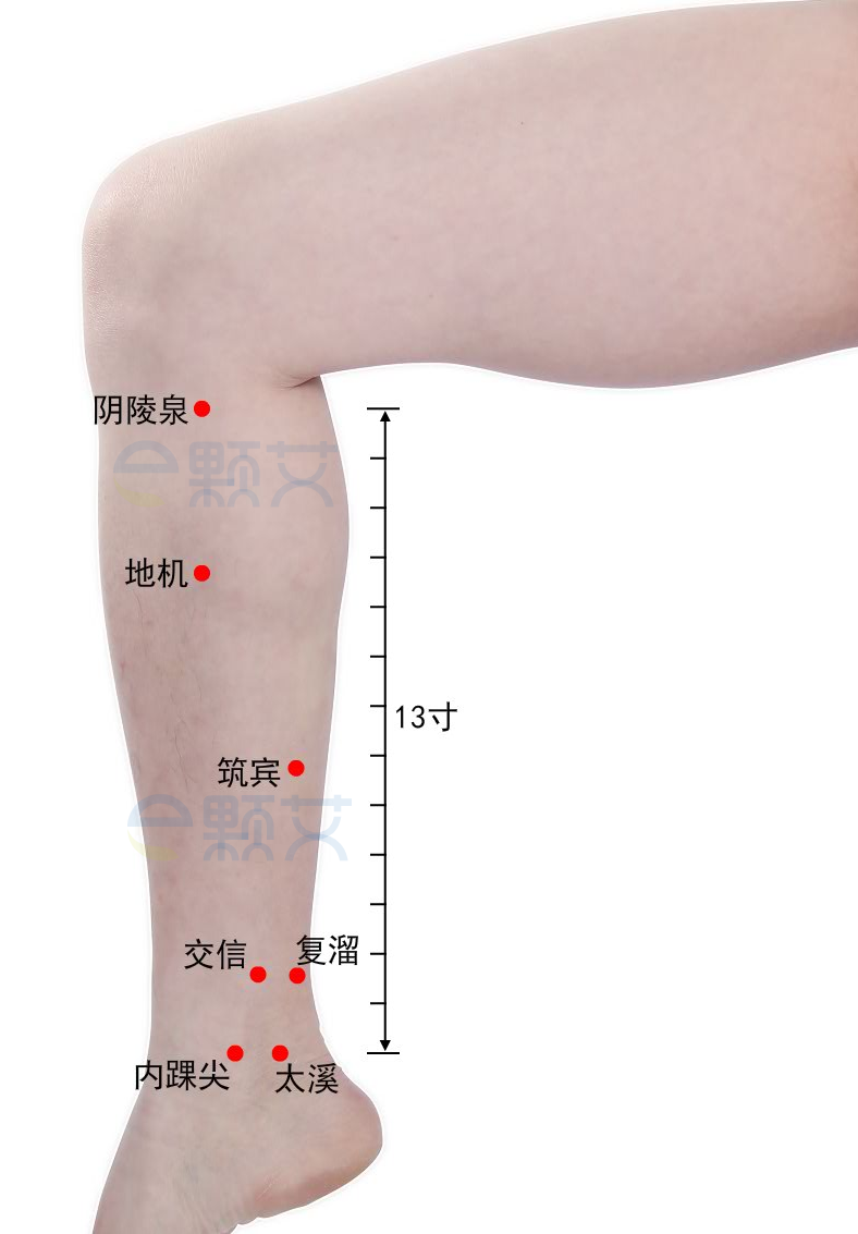 筑宾穴位图 艾灸取穴方法 主治病症 应用经验