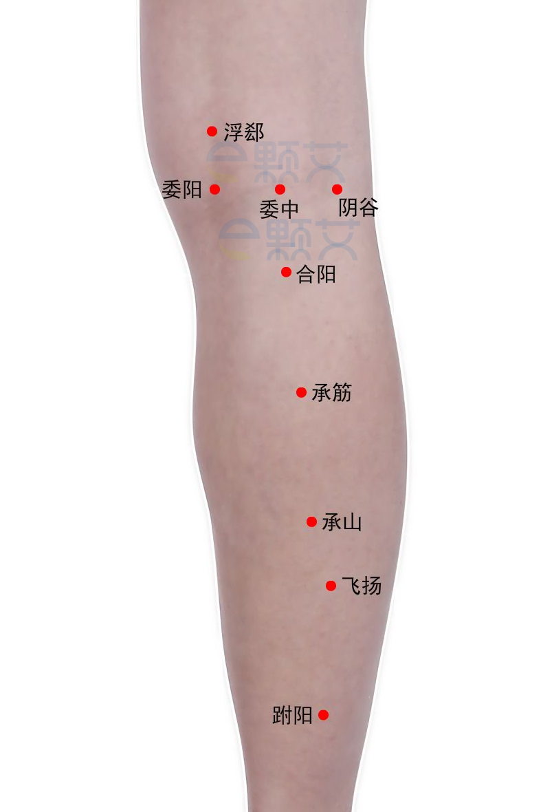 阴谷穴位图 艾灸取穴方法 主治病症 应用经验