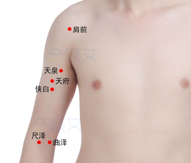 天泉穴位图 艾灸取穴方法 主治病症 应用经验