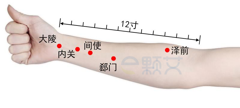 内关穴位图 艾灸取穴方法 主治病症 应用经验