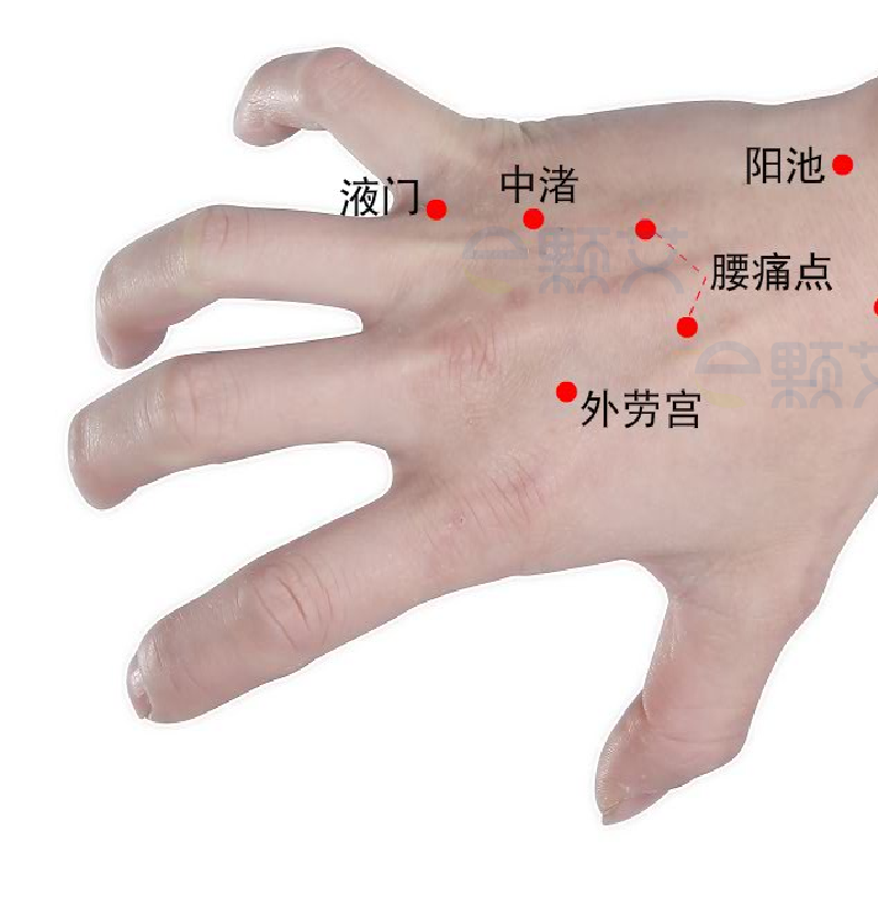 中渚穴位图 艾灸取穴方法 主治病症 应用经验
