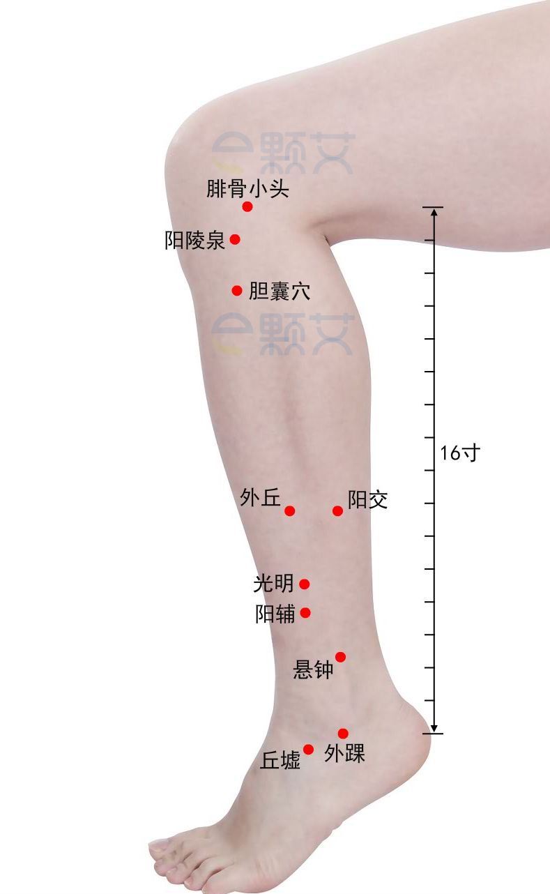 外丘穴位图 艾灸取穴方法 主治病症 应用经验