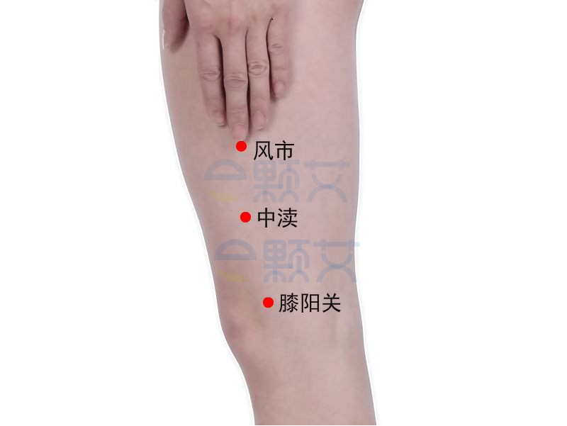 中渎穴位图 艾灸取穴方法 主治病症 应用经验