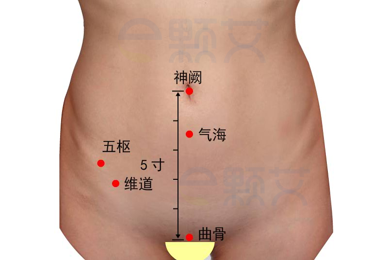 维道穴位图 艾灸取穴方法 主治病症 应用经验