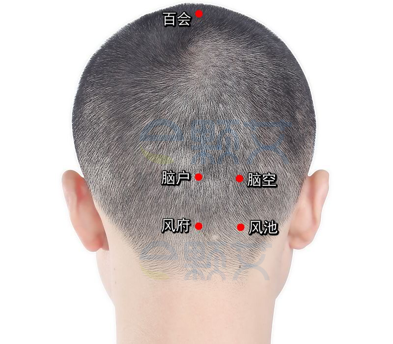 脑空穴位图 艾灸取穴方法 主治病症 应用经验