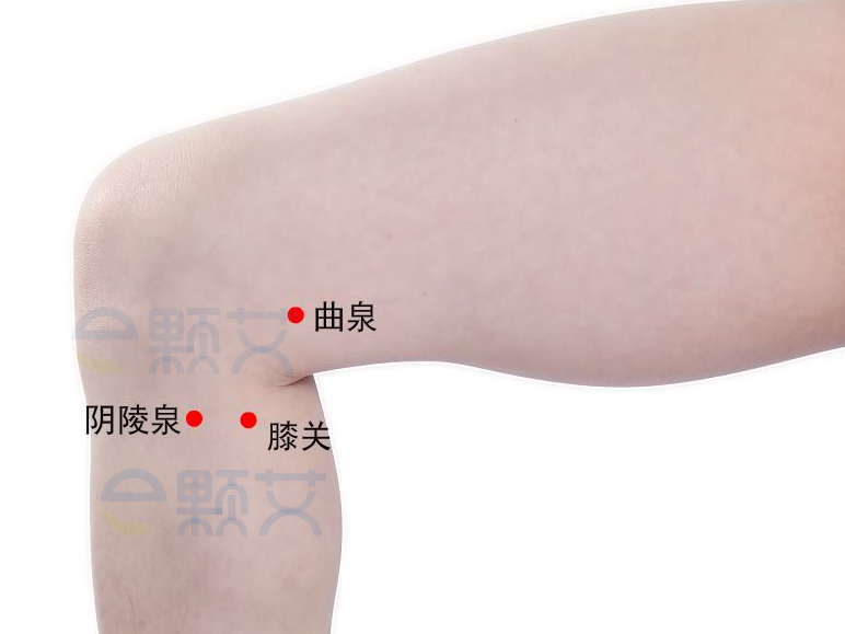 曲泉穴位图 艾灸取穴方法 主治病症 应用经验