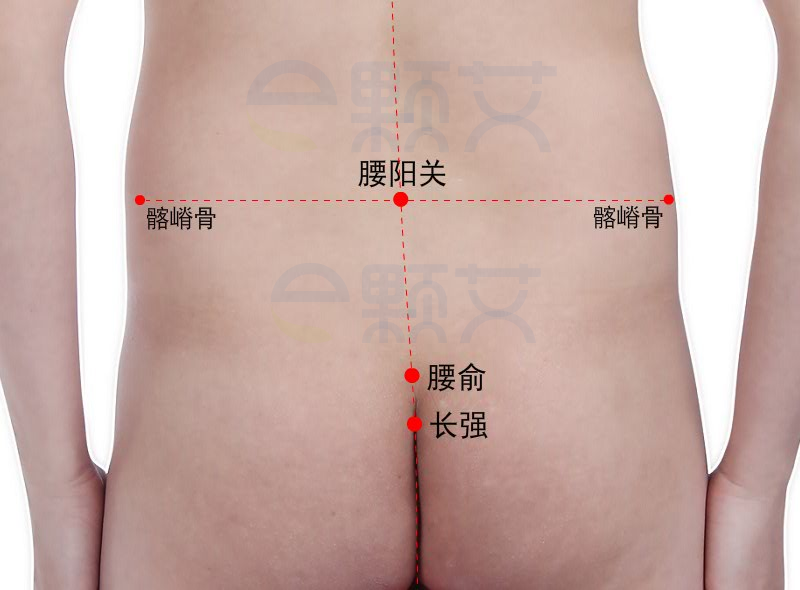 腰俞穴位图 艾灸取穴方法 主治病症 应用经验