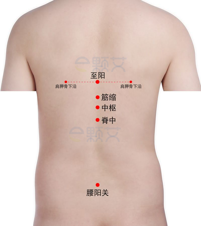 中枢穴位图 艾灸取穴方法 主治病症 应用经验