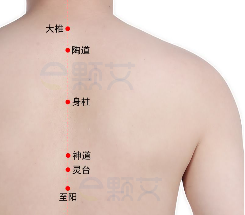 神道穴位图 艾灸取穴方法 主治病症 应用经验