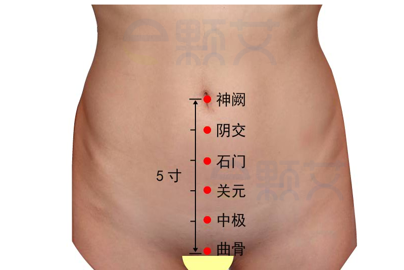 神阙穴位图 艾灸取穴方法 主治病症 应用经验