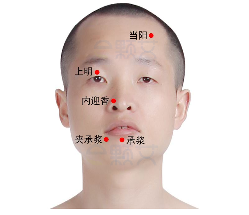 承浆穴位图 艾灸取穴方法 主治病症 应用经验