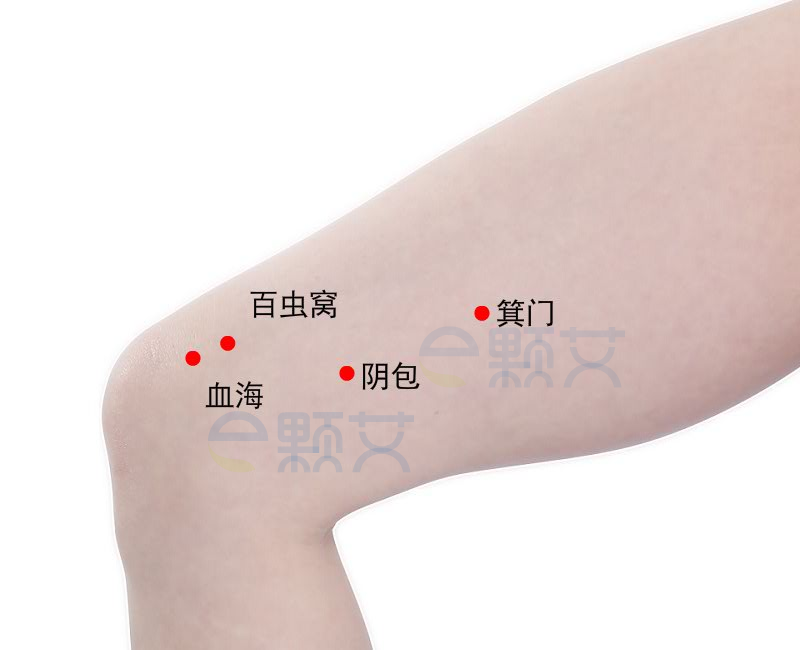 百虫窝穴位图 艾灸取穴方法 主治病症 应用经验