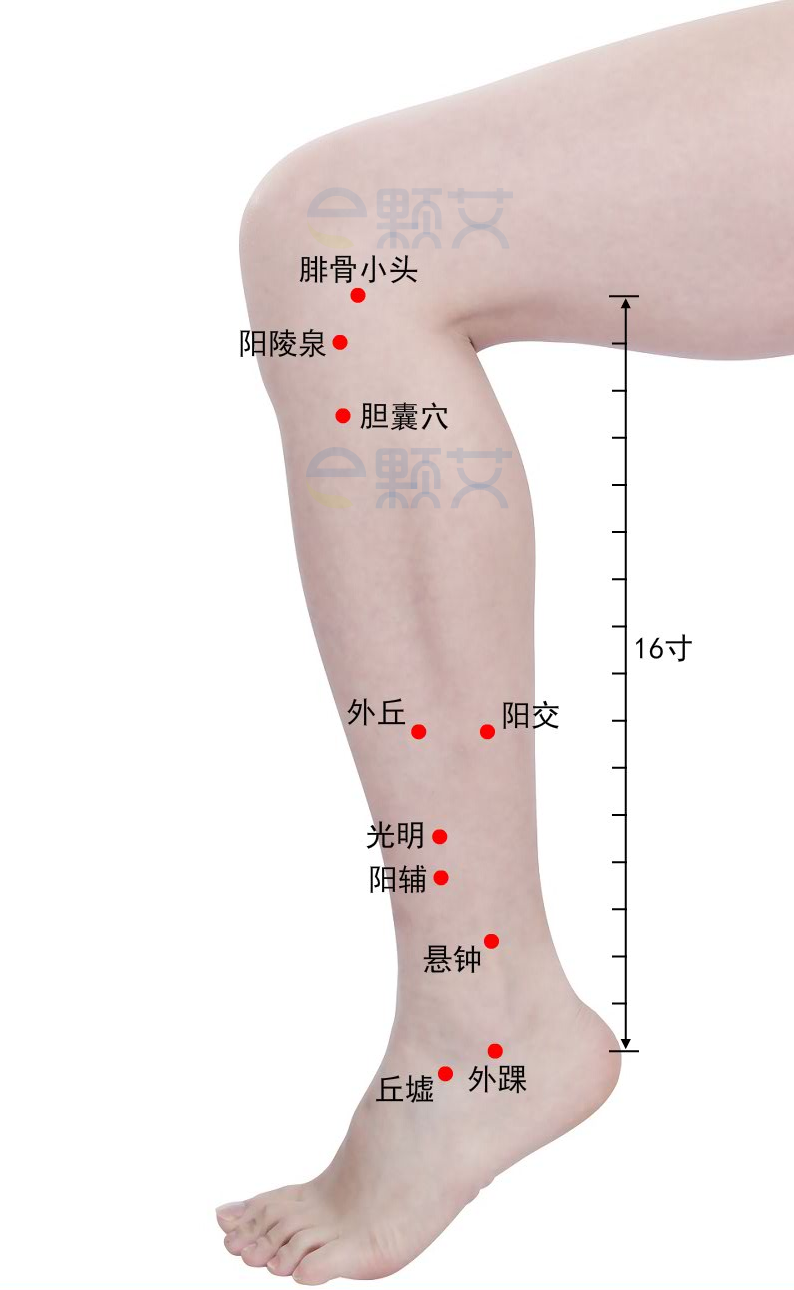 胆囊穴位图 艾灸取穴方法 主治病症 应用经验