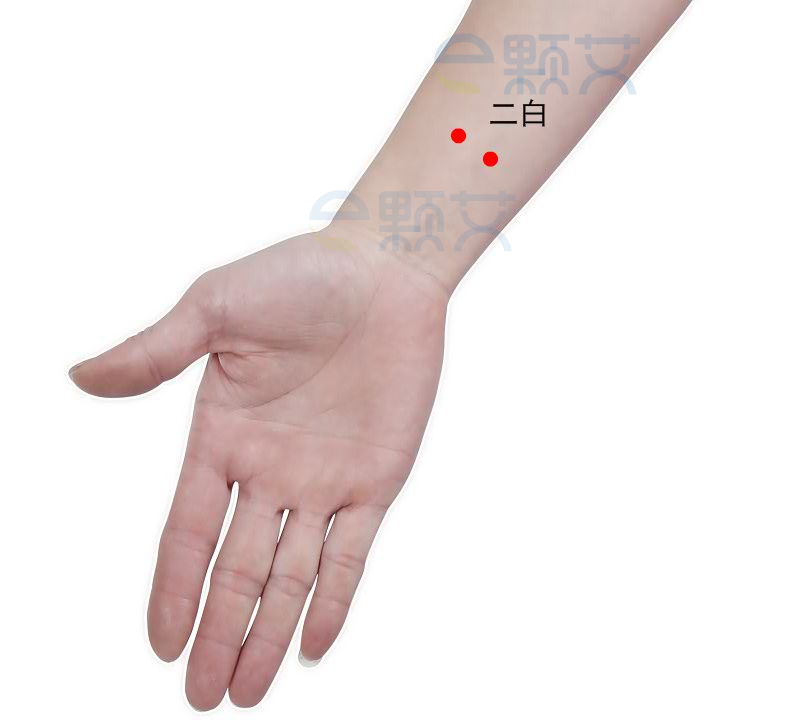 二白穴位图 艾灸取穴方法 主治病症 应用经验