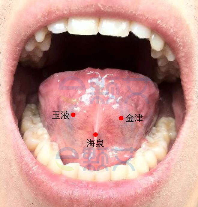 海泉穴位图 艾灸取穴方法 主治病症 应用经验