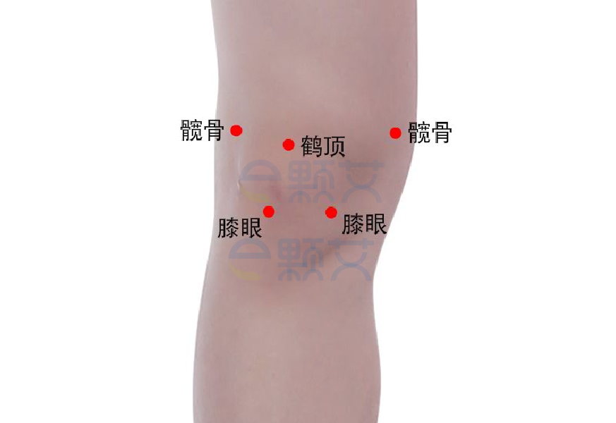鹤顶穴位图 艾灸取穴方法 主治病症 应用经验