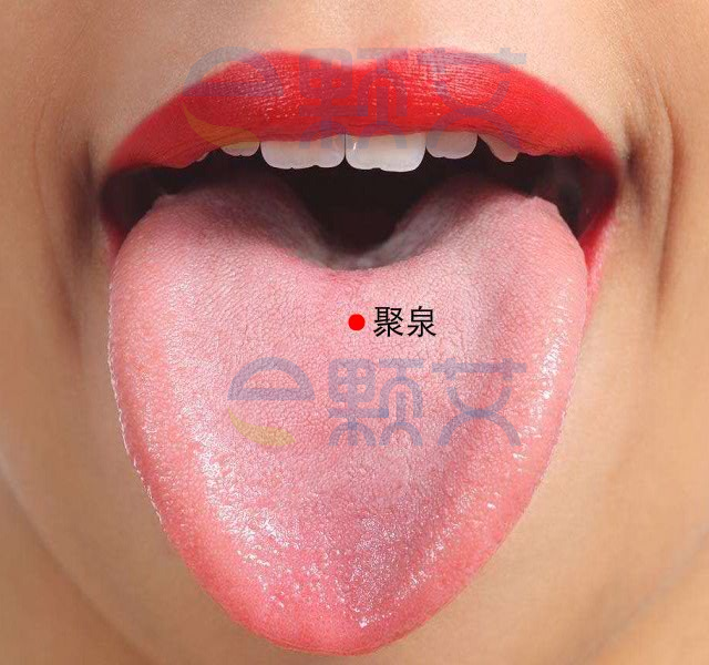 聚泉穴位图 艾灸取穴方法 主治病症 应用经验