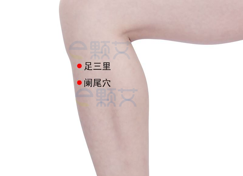 阑尾穴位图 艾灸取穴方法 主治病症 应用经验