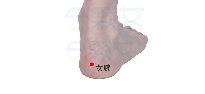 女膝穴位图 艾灸取穴方法 主治病症 应用经验