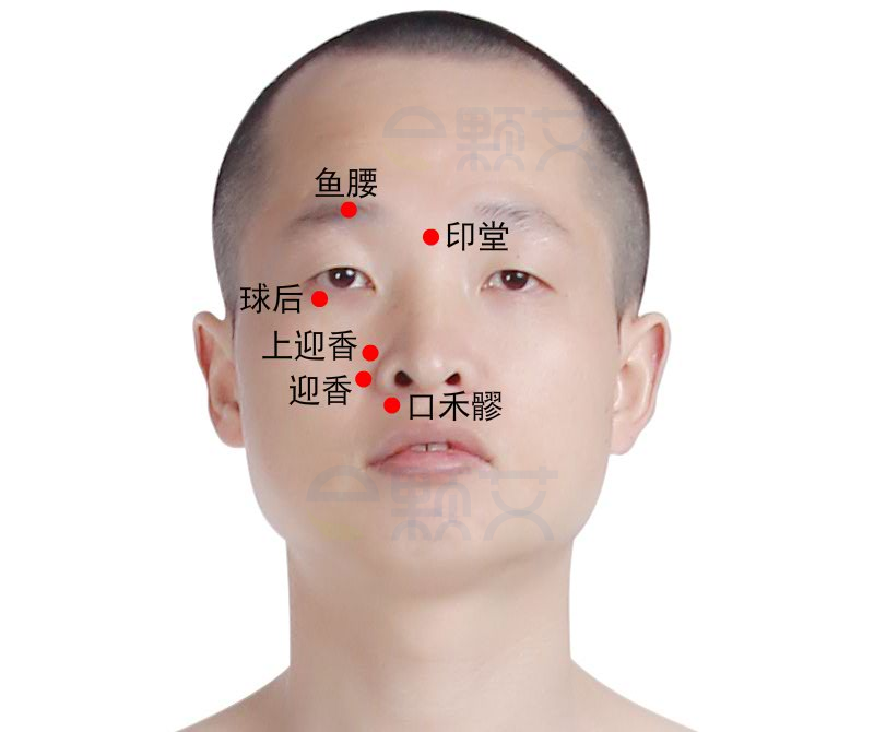 球后穴位图 艾灸取穴方法 主治病症 应用经验