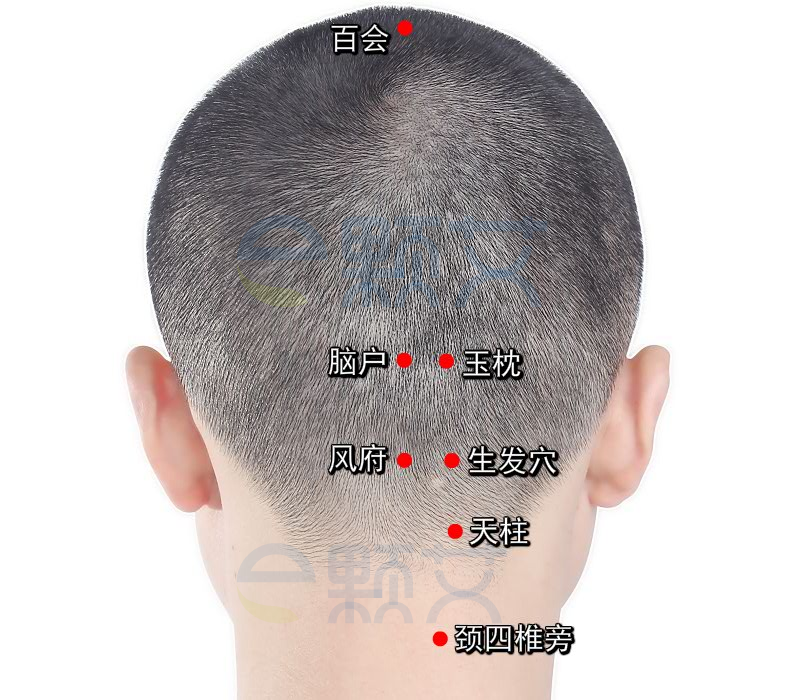 生发穴穴位图 艾灸取穴方法 主治病症 应用经验