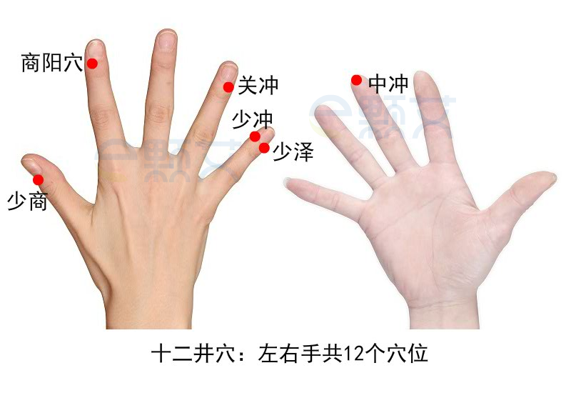 十二井穴穴位图 艾灸取穴方法 主治病症 应用经验