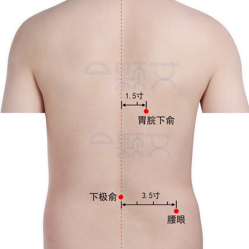 胃脘下俞穴位图 艾灸取穴方法 主治病症 应用经验