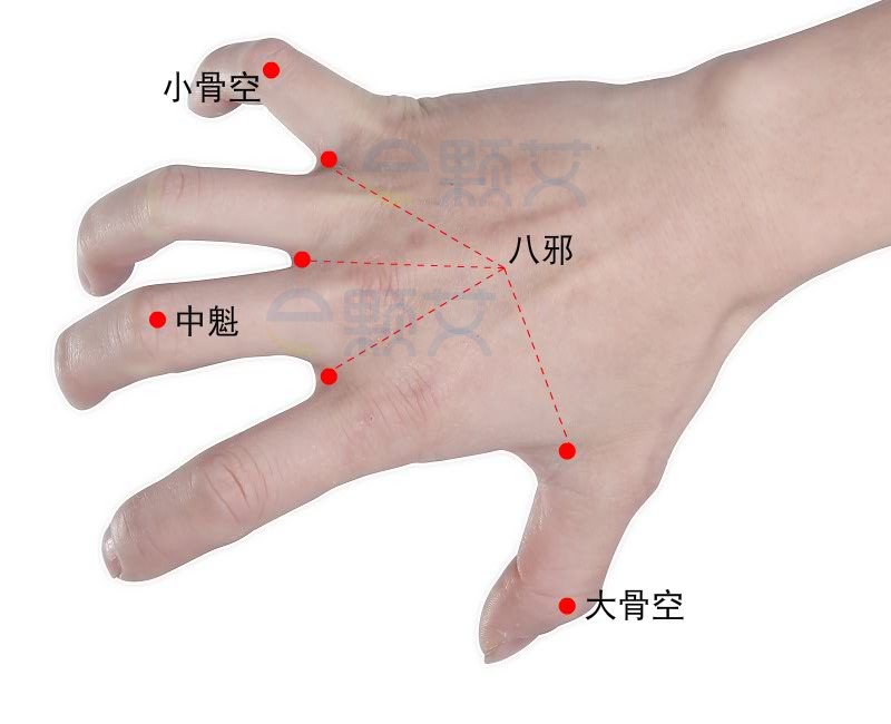 中魁穴位图 艾灸取穴方法 主治病症 应用经验